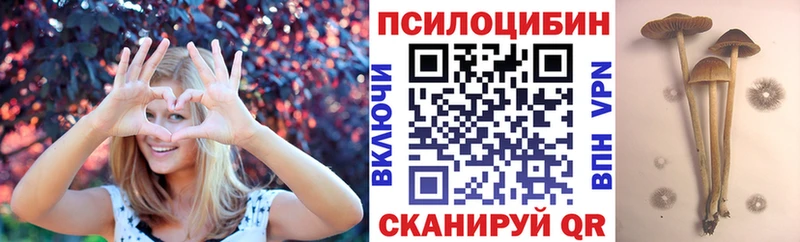наркошоп  Киселёвск  Галлюциногенные грибы мицелий 